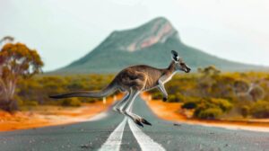 The Best Road Trip Routes in Australia