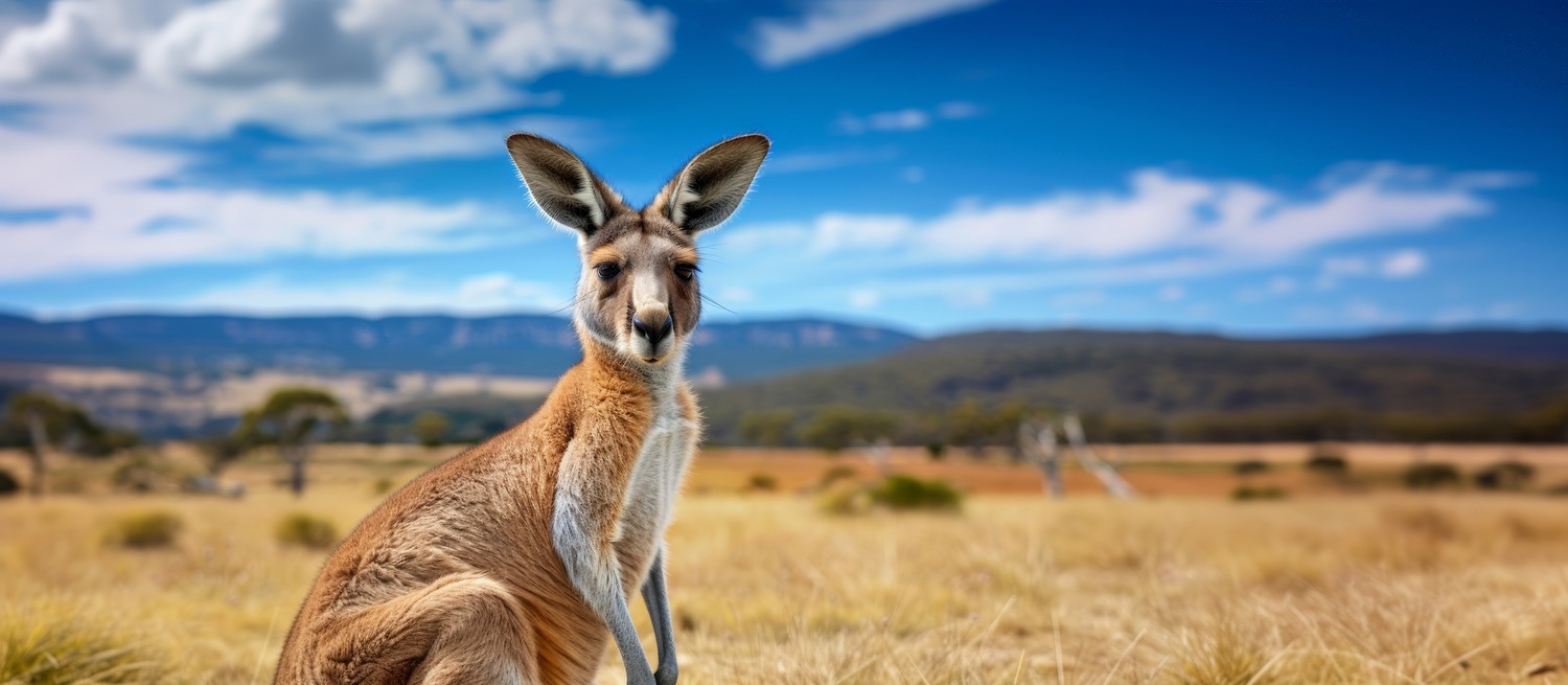 Western Australia Day 2025: Honouring Heritage and Embracing Progress